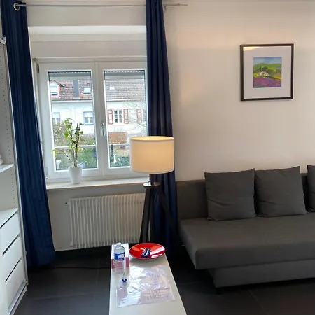 Preiswertes Stilvolles Zimmer Im Privaten Haus Mit Grossem Schoenem Modernem Gemeinschaft Badenzimmer Lorrach Exterior photo