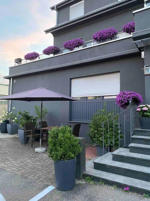 Apartment Preiswertes Stilvolles Im Privaten Haus Mit Grossem Schoenem Modernem Gemeinschaft Badenzimmer *