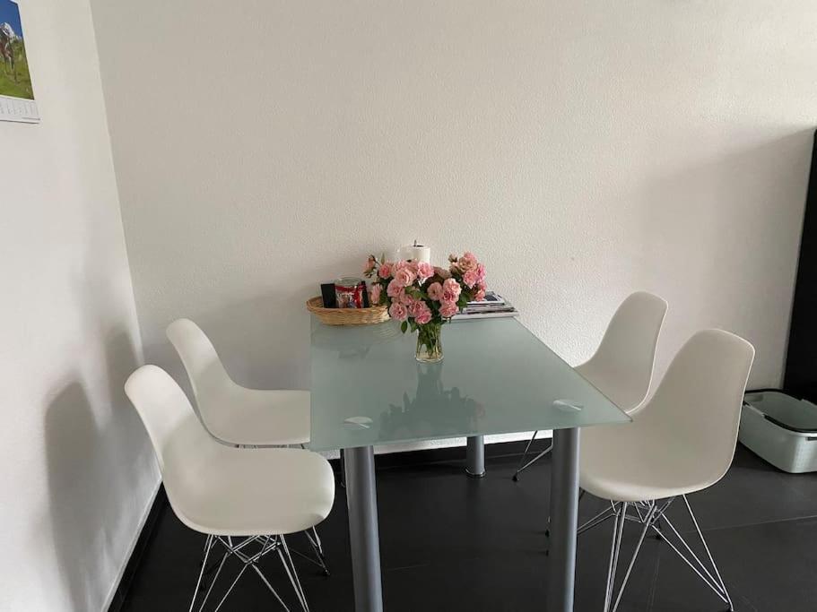 Apartment Preiswertes Stilvolles Im Privaten Haus Mit Grossem Schoenem Modernem Gemeinschaft Badenzimmer *