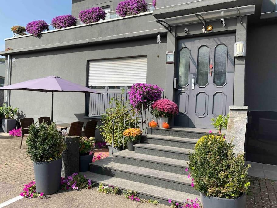 Apartment Preiswertes Stilvolles Im Privaten Haus Mit Grossem Schoenem Modernem Gemeinschaft Badenzimmer