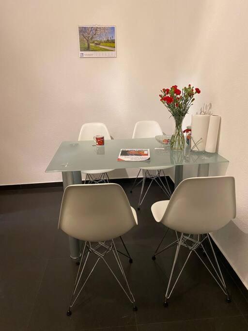 Apartment Preiswertes Stilvolles Im Privaten Haus Mit Grossem Schoenem Modernem Gemeinschaft Badenzimmer Lorrach